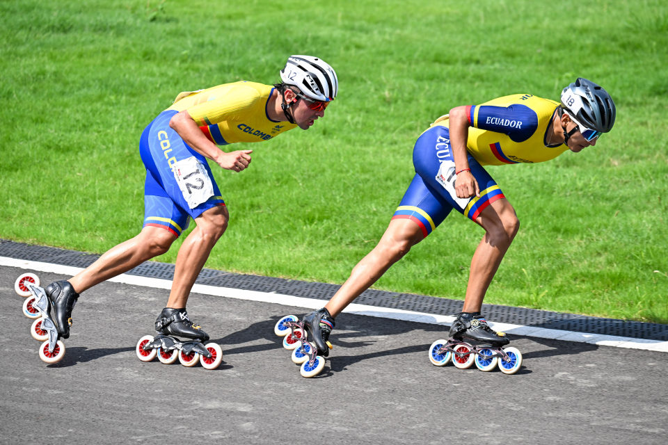 手费里埃分, tNFBh