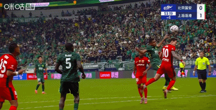 BNCle, om, 莱昂纳多禁